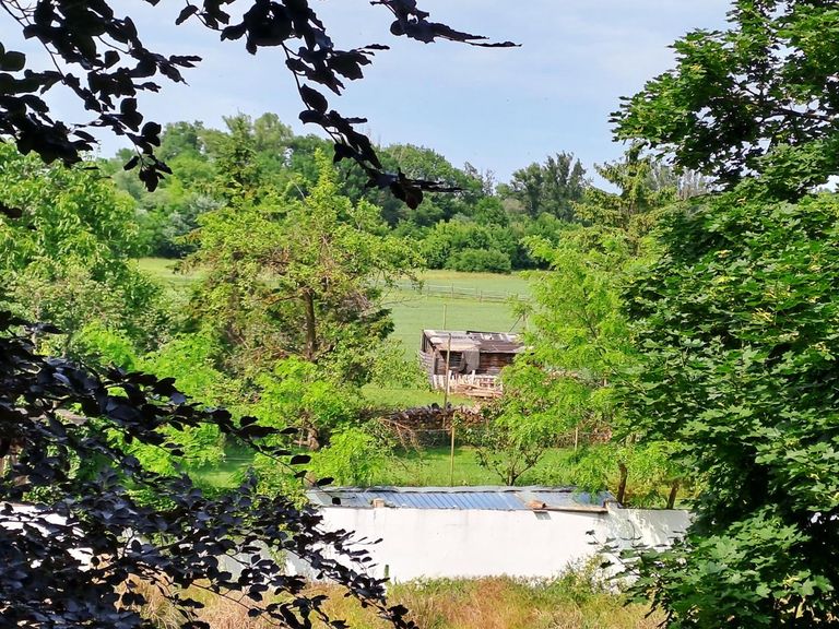 großer ebener Garten
