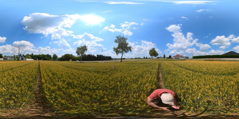 Grundstück 360 Grad Bild