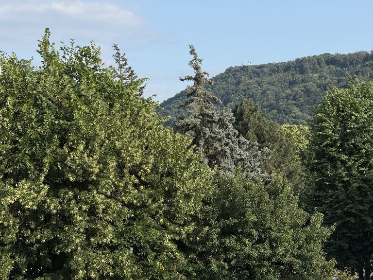 Ausblick auf den Kahlenberg