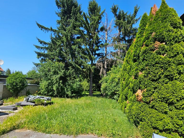 Garten Ausblick vom Gang