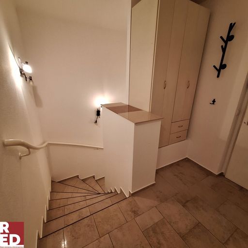 Entre mit Stiege hinunter zur Wohnebene