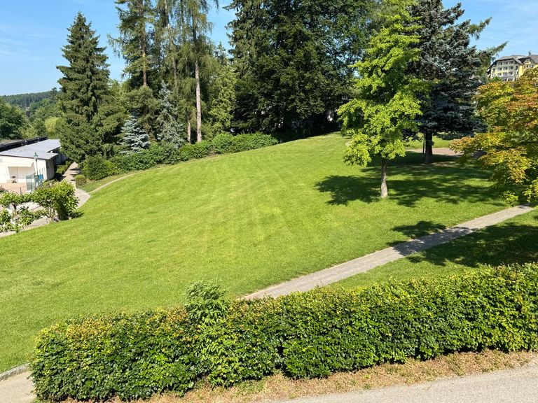 Ausblick in den Park