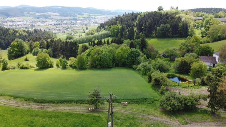 Blick auf St. Peter