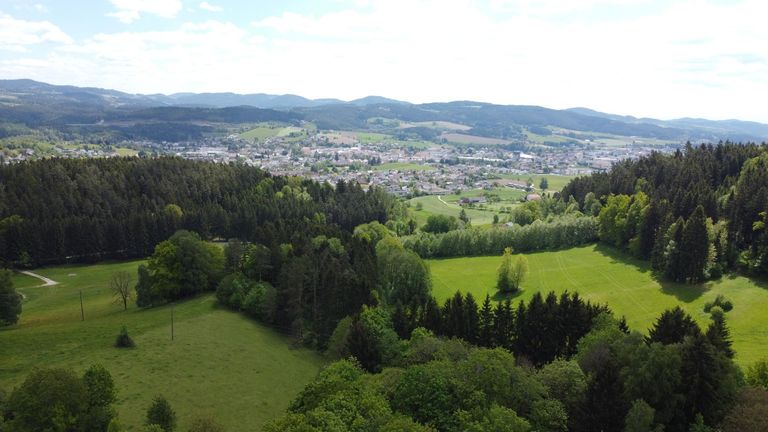 Blick auf Freistadt
