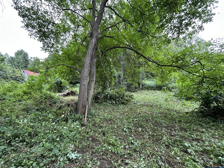 Blick auf Grundstück