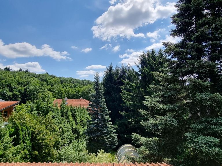 Blick vom Balkon