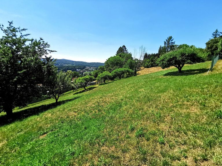 Blickrichtung Westen