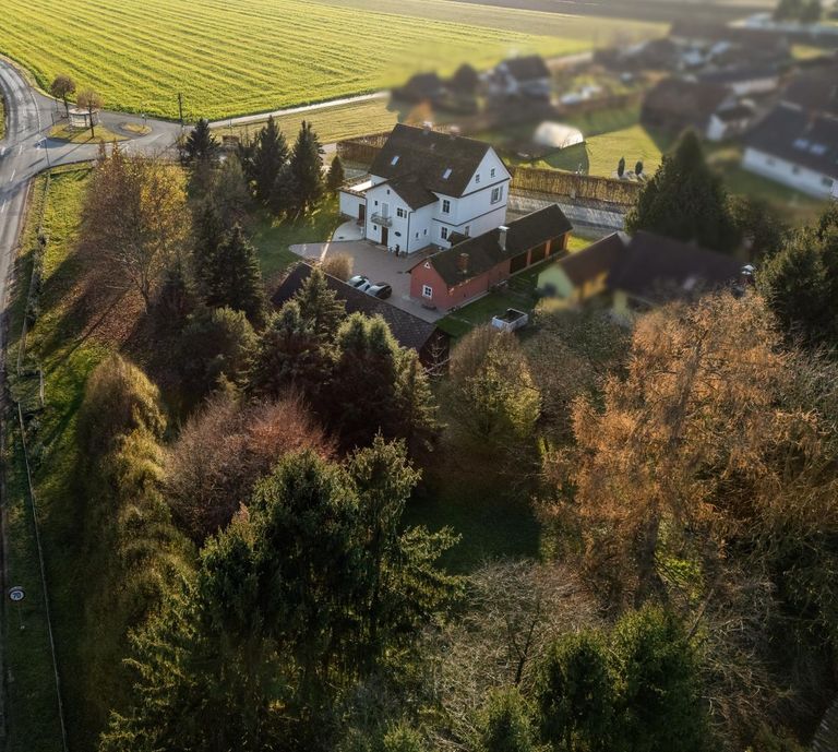 Drohnenbild Haus und Park