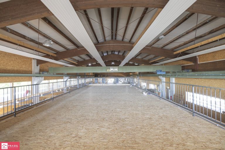 OG - Innendeck - Schaufläche Loft