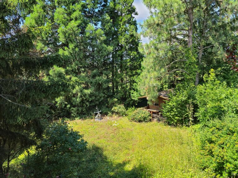 Blick in den Garten EG