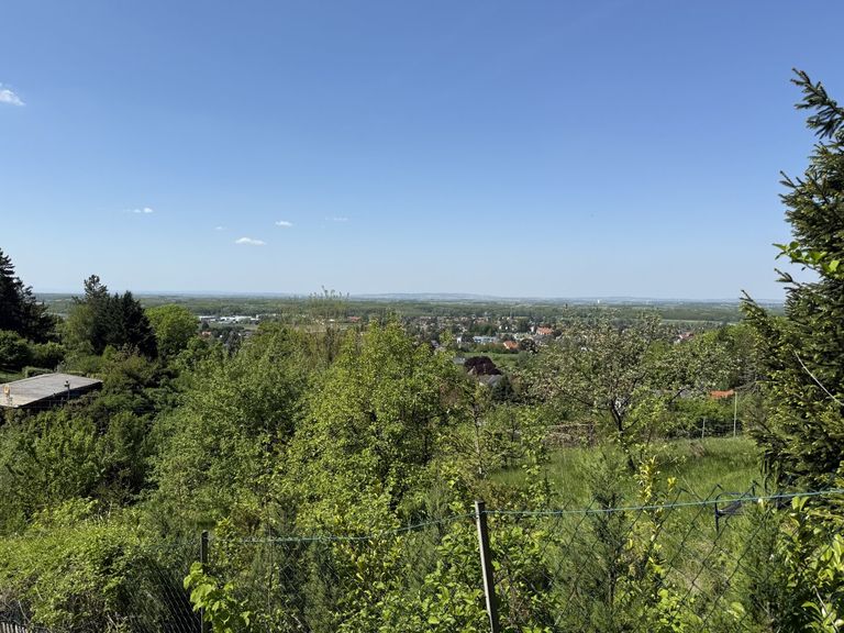 Über den Dächern der Bäume