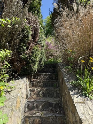 Aufstieg in den Garten