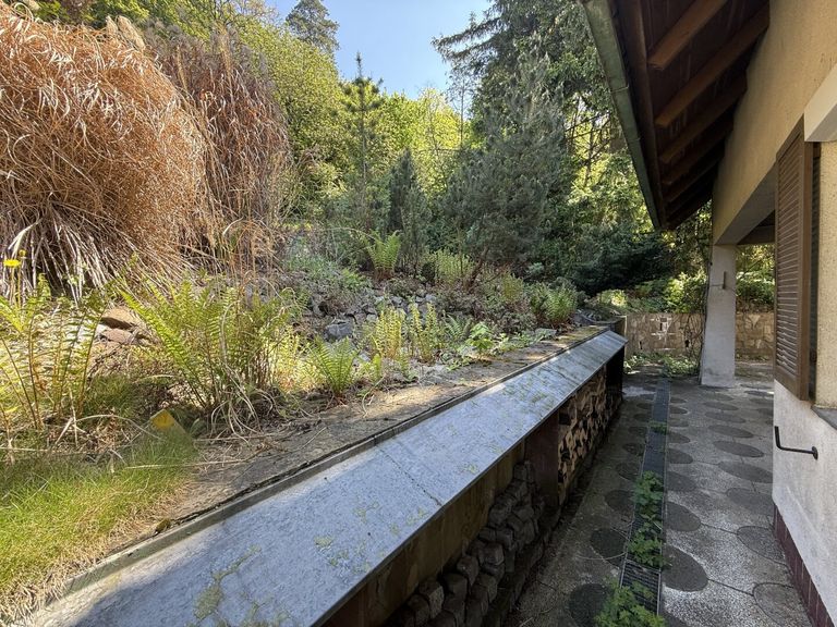 Hier beginnt die Natur