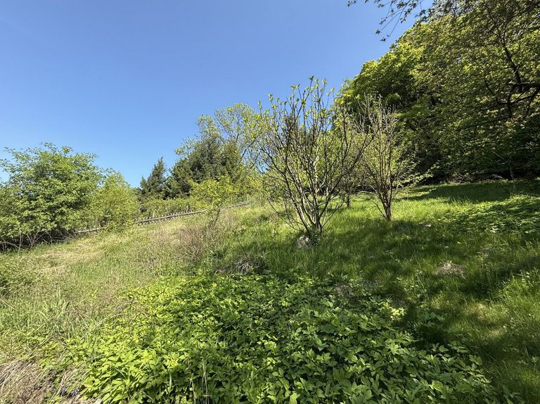 Ihr eigenes Stück Landschaftsidylle