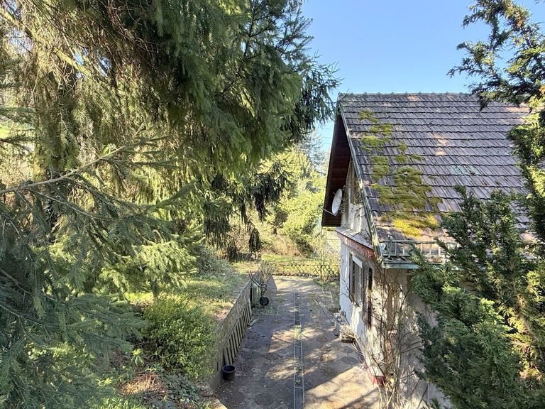 Eingebettet in altem Baumbestand