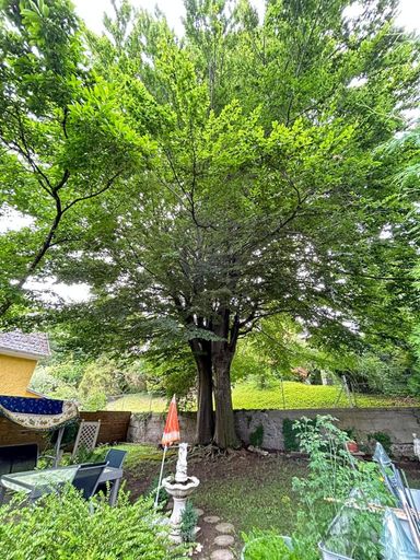 PHOTO-2025-07-16-10-50-18 (15)