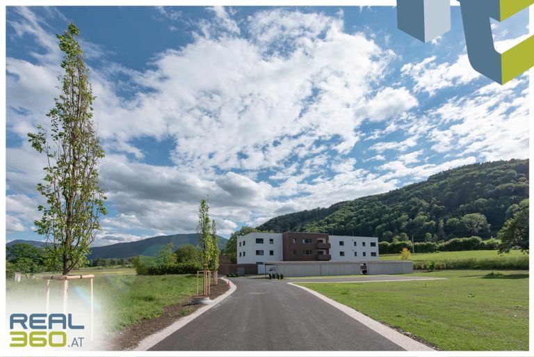 Allee zum Wohnprojekt