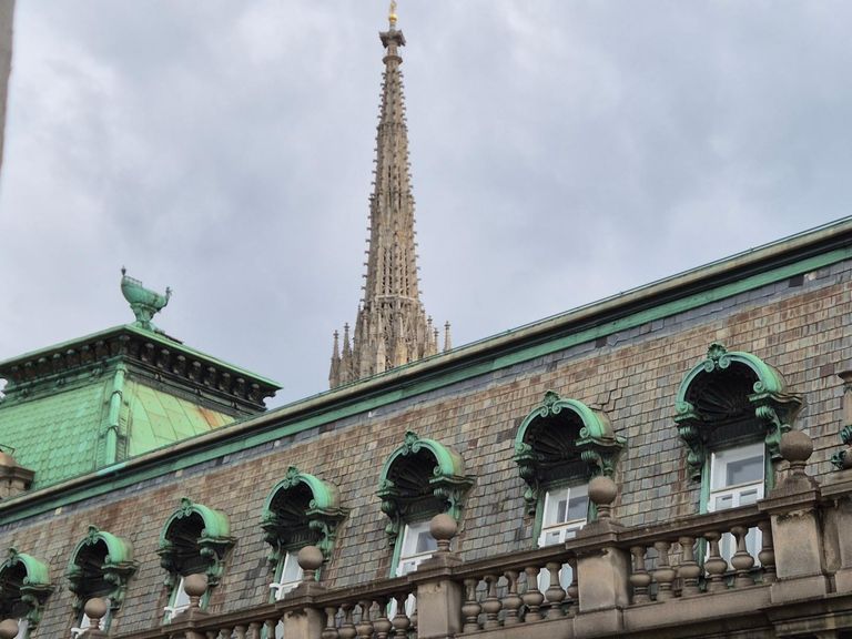 Ausblick Stephansdom