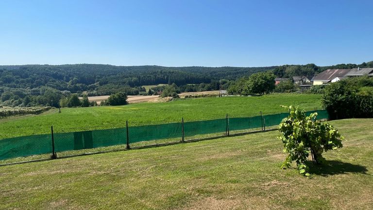Ausblick