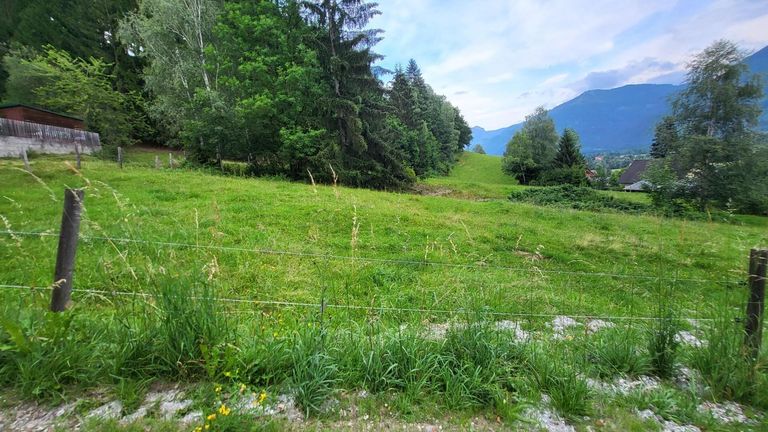 Bau- und Freiland, Blick Rtg