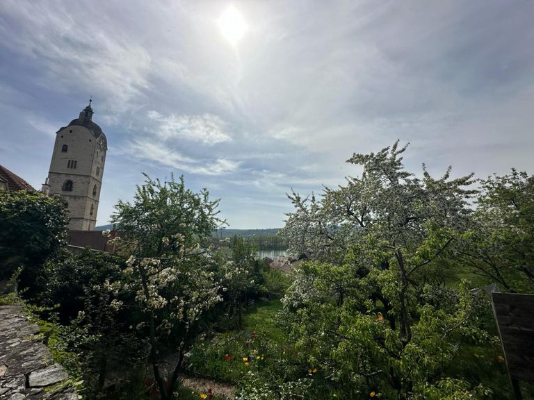 WhatsApp Bild 2024-04-08 um 20.27.55_542006c3