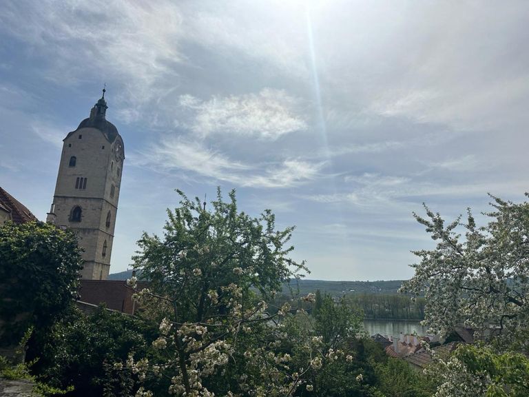 WhatsApp Bild 2024-04-08 um 20.27.55_6932aa06