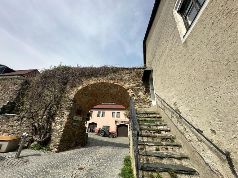 WhatsApp Bild 2024-04-08 um 20.28.27_f13a890e