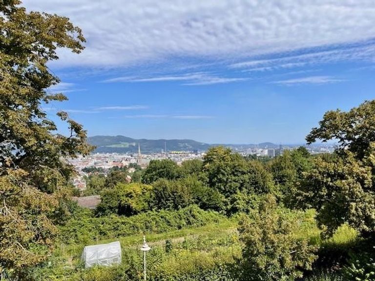 Aussicht auf Linz