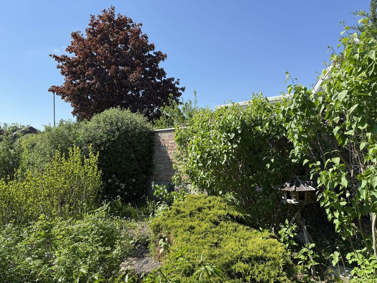 Wildromantischer Garten