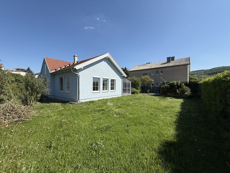 Großzügiger Garten