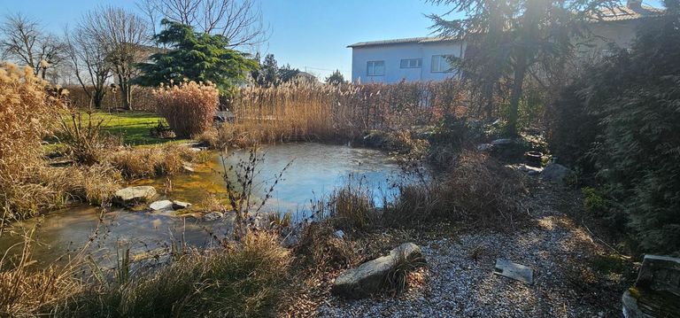 Baugrund Ansfelden 1.