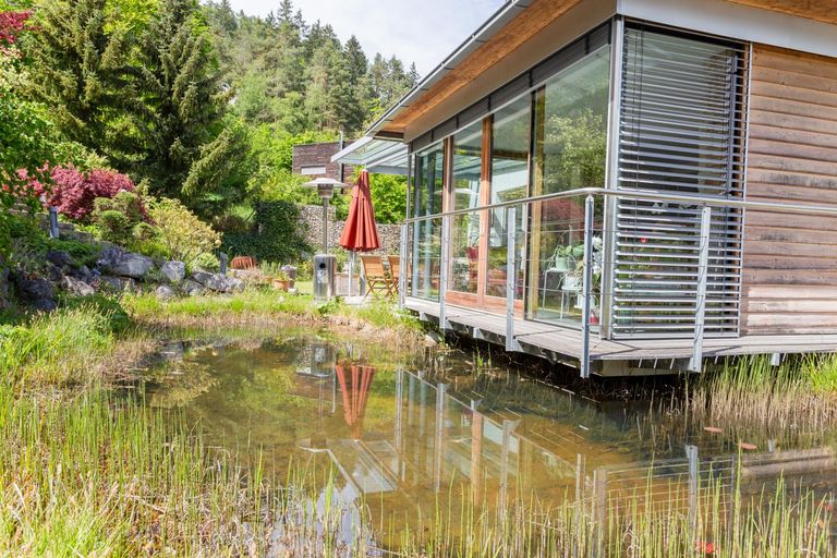 Wintergarten_Teich  I