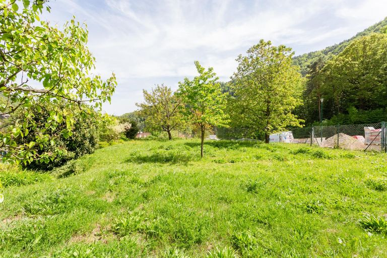 Garten_unbebautes Grundstück