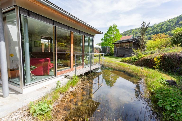 Wintergarten_Teich II