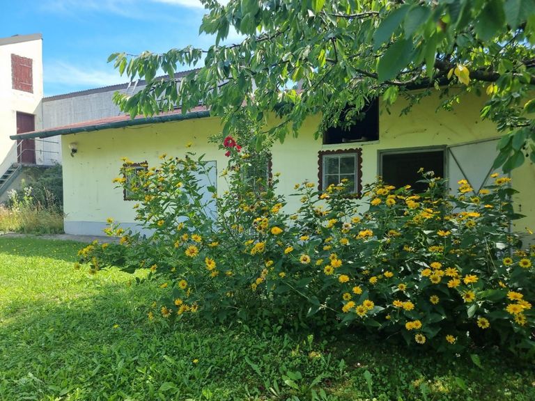 EFH 2104 08 Nebengebäude