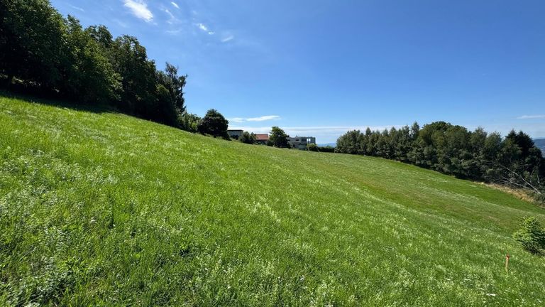 Grundstück