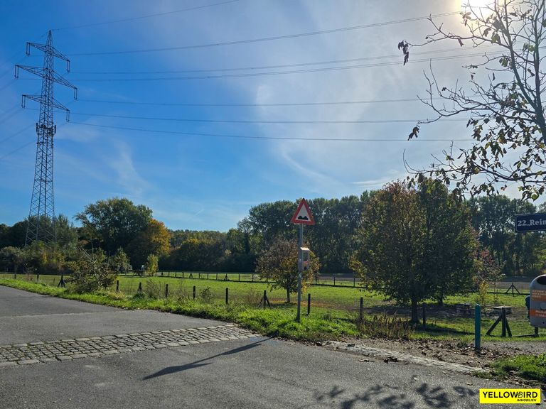 unmittelbare Umgebung