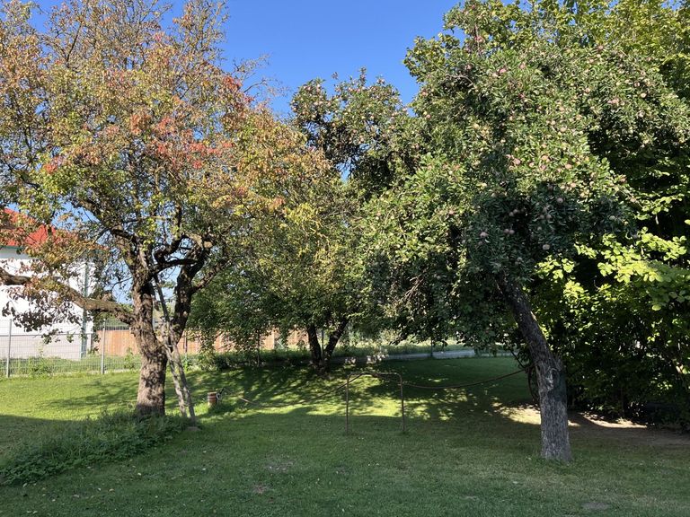 Ruhe und Erholung im eigenen Garten