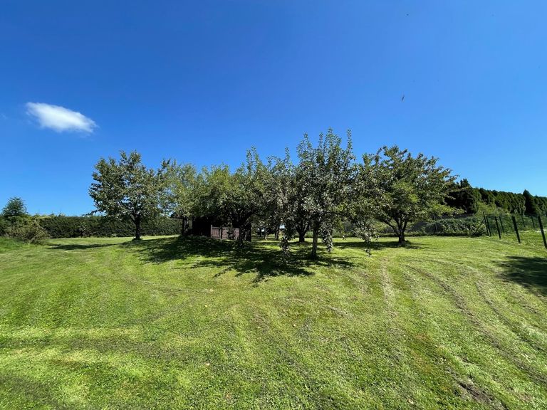 Baugrund Eugendorf zu verkaufen