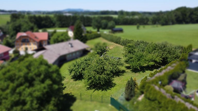 Baugrund Eugendorf zu verkaufen