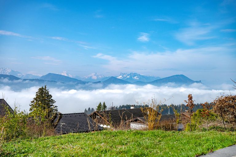 349 Aussicht Terrasse Garten