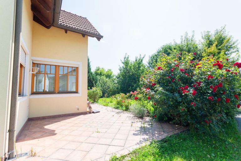 Platz in der Sonne
