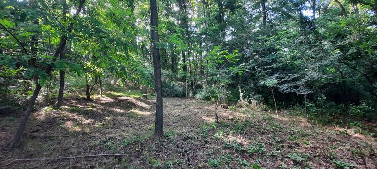 WhatsApp Image 2025-07-31 at 17.11.38