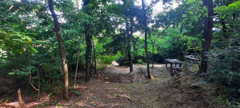 WhatsApp Image 2025-07-31 at 17.12.18