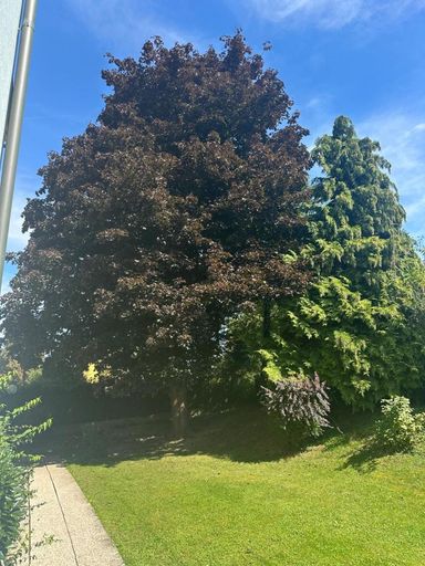 WhatsApp Bild 2025-08-21 um 08.23.25_611dc579