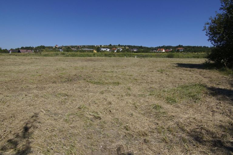 Remax-Baugrund