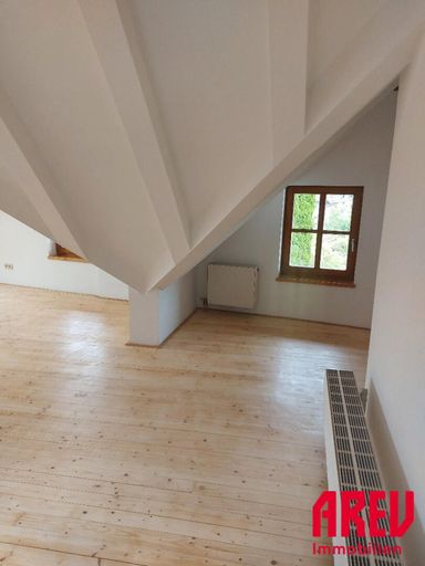 20250729_134029_resized