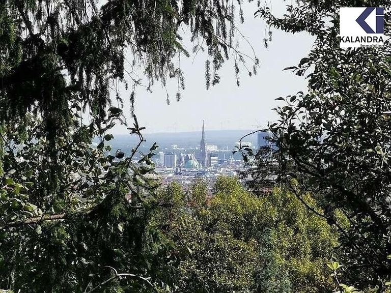 Blick  3