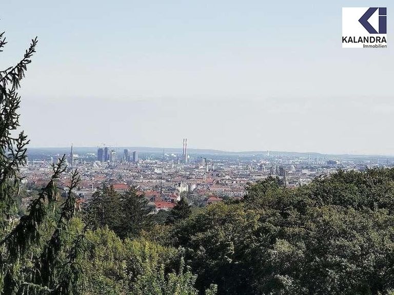 Blick 1