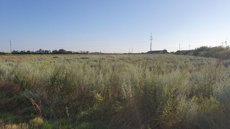 4. Landwirtschaftlicher Grund